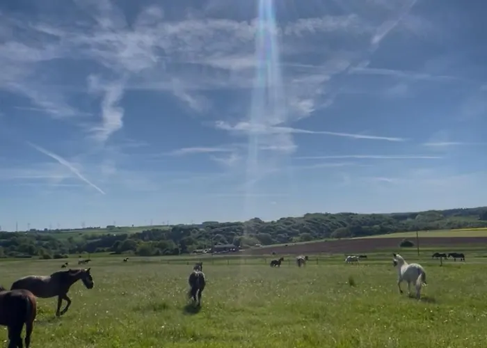 Oak Wood Ranch Guest Marsberg